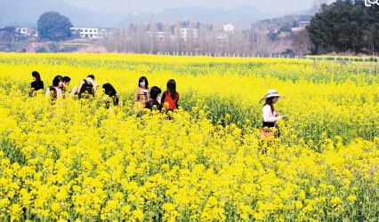 濟南網(wǎng)絡(luò)托管公司